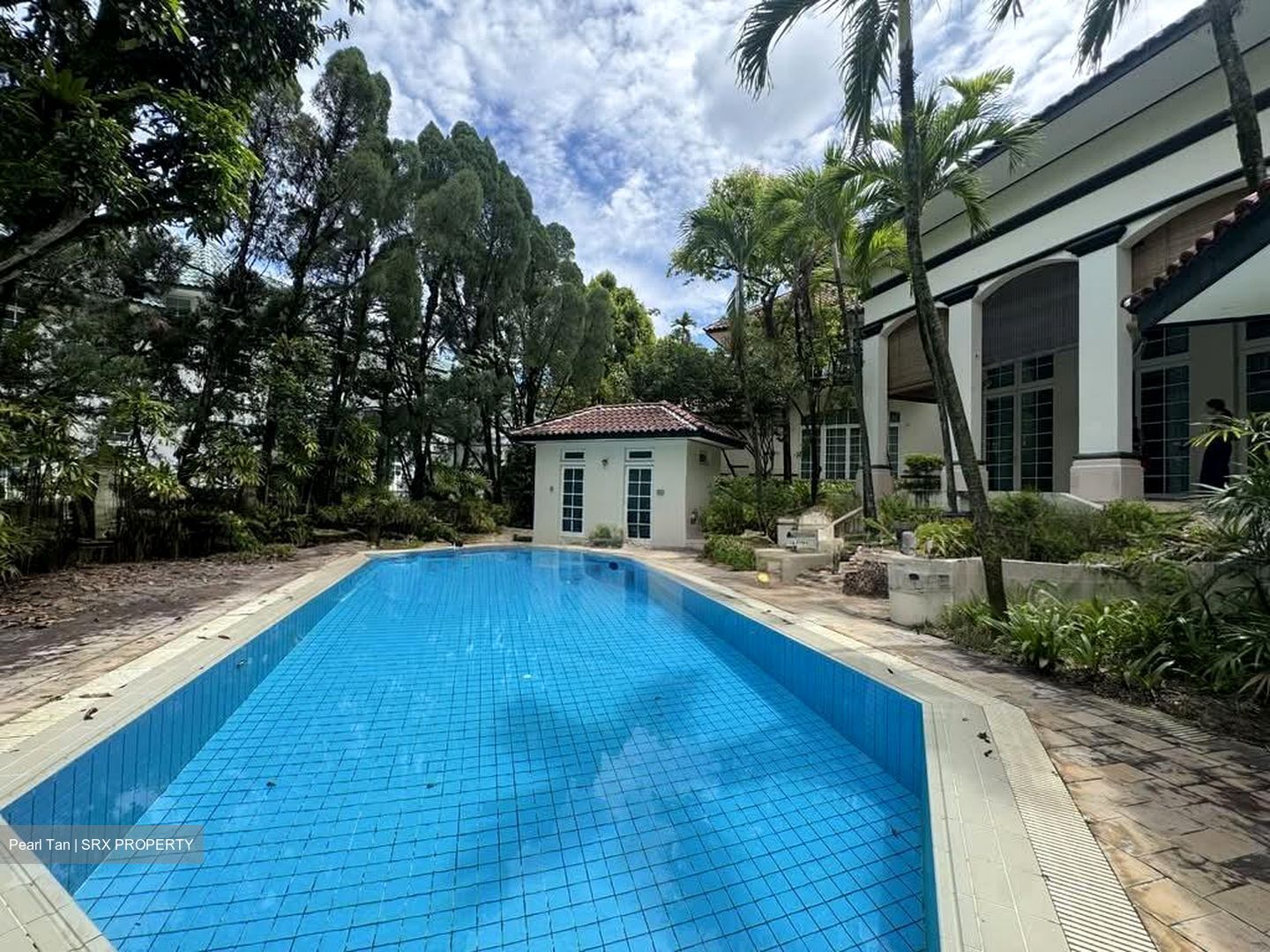 Leedon Park (D10), Semi-Detached #568982081